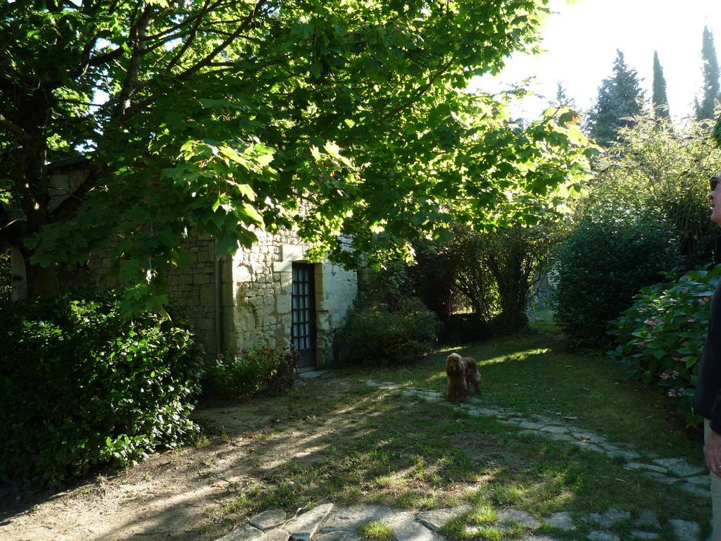 Le Logis Du Peu Girard Acomodação com café da manhã La Roche-Clermault Exterior foto
