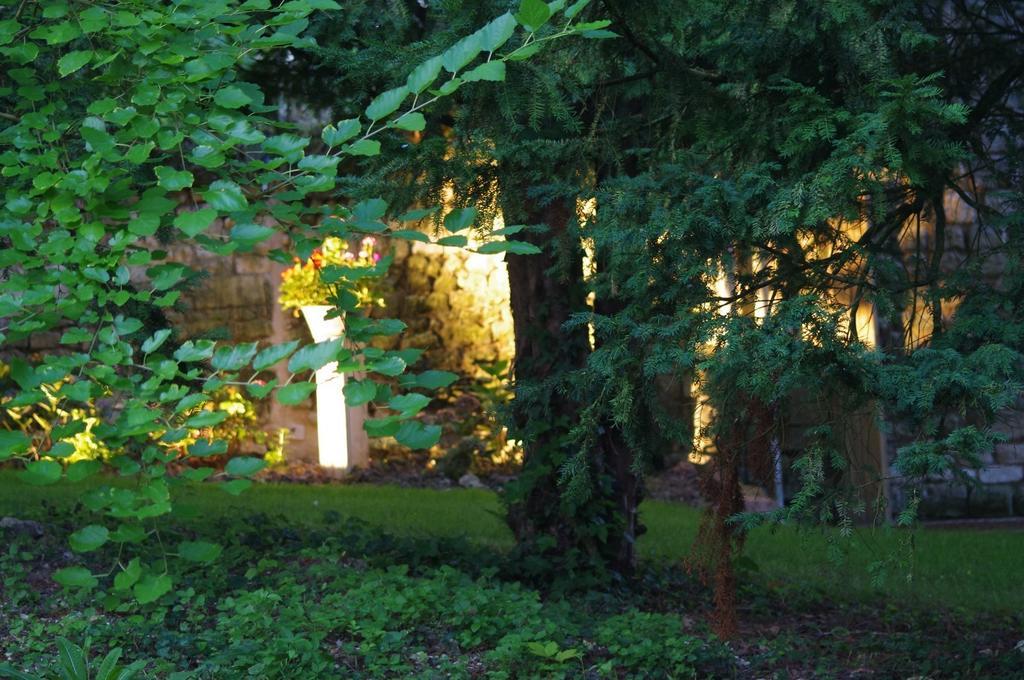 Le Logis Du Peu Girard Acomodação com café da manhã La Roche-Clermault Exterior foto