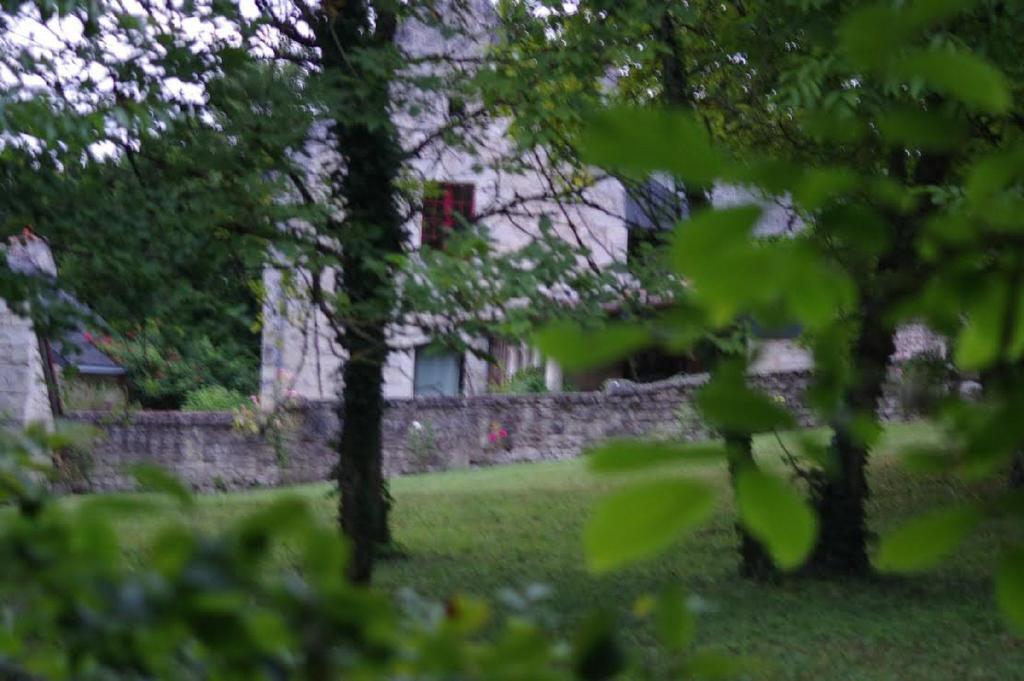 Le Logis Du Peu Girard Acomodação com café da manhã La Roche-Clermault Exterior foto