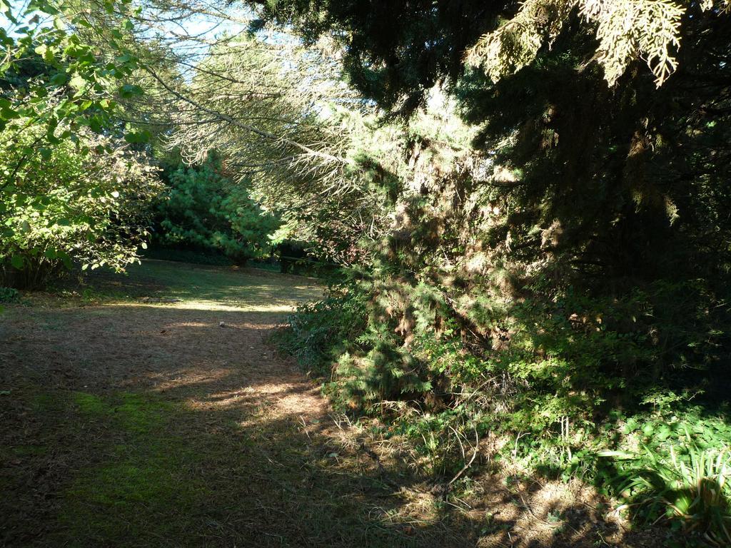 Le Logis Du Peu Girard Acomodação com café da manhã La Roche-Clermault Exterior foto